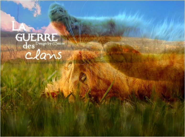 1er fond d'écran